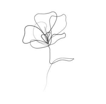Ciao Flowers